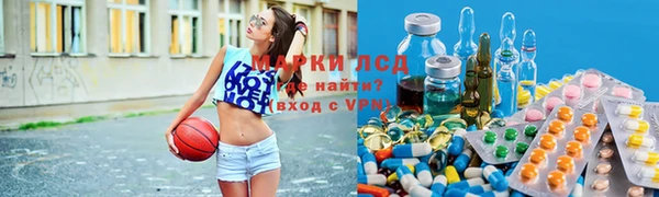 индика Волоколамск