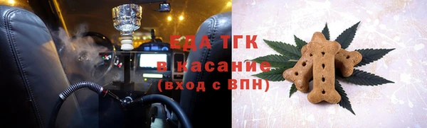 индика Волоколамск
