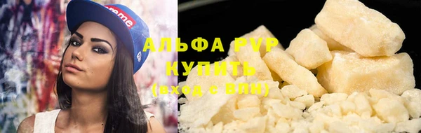 индика Волоколамск