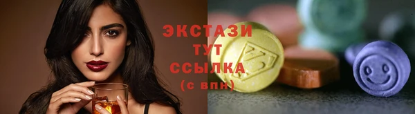 индика Волоколамск