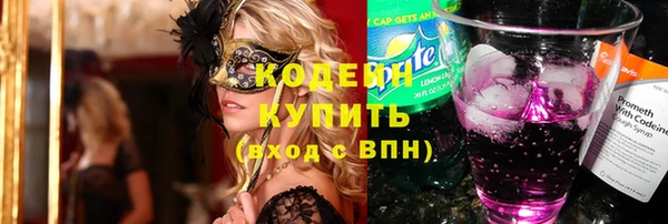 индика Волоколамск